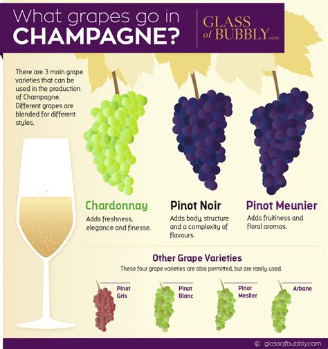 what is champagne used for